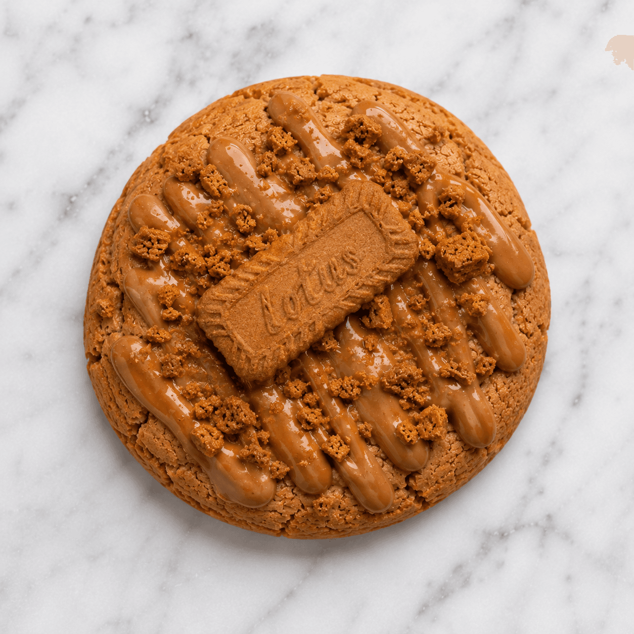 Cookie Lotus